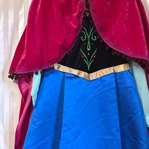 Anna Halloween or dress up. Worn twice. Stored in garment bag.